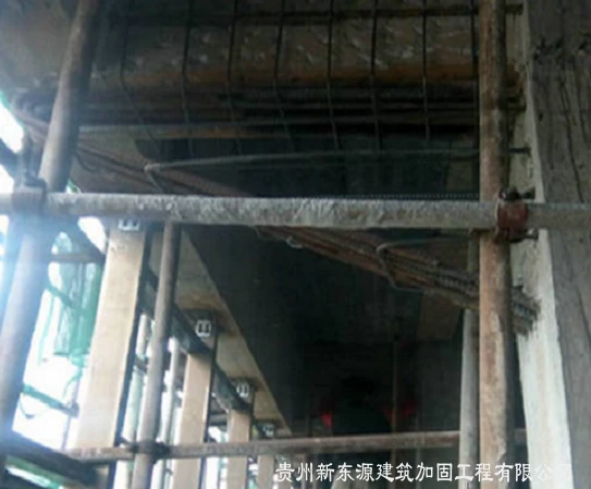 微信图片_20230509101643