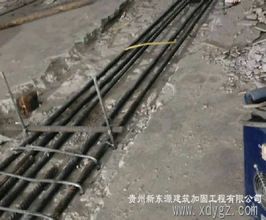 贞丰加固公司
