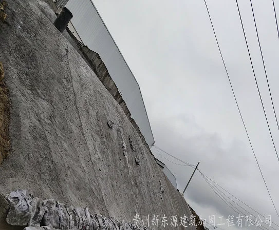 IMG_20191128_100319_看图王